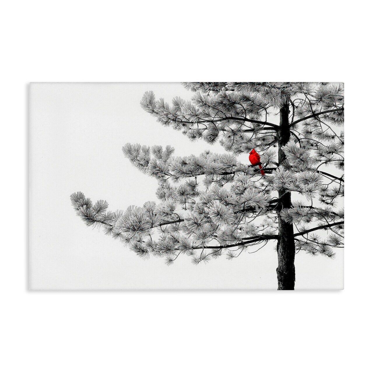 Stupell Industries Cardinal in Stark Winter Tree Canvas, design by Steve Toole